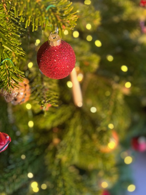 Sapin_detail_tradition